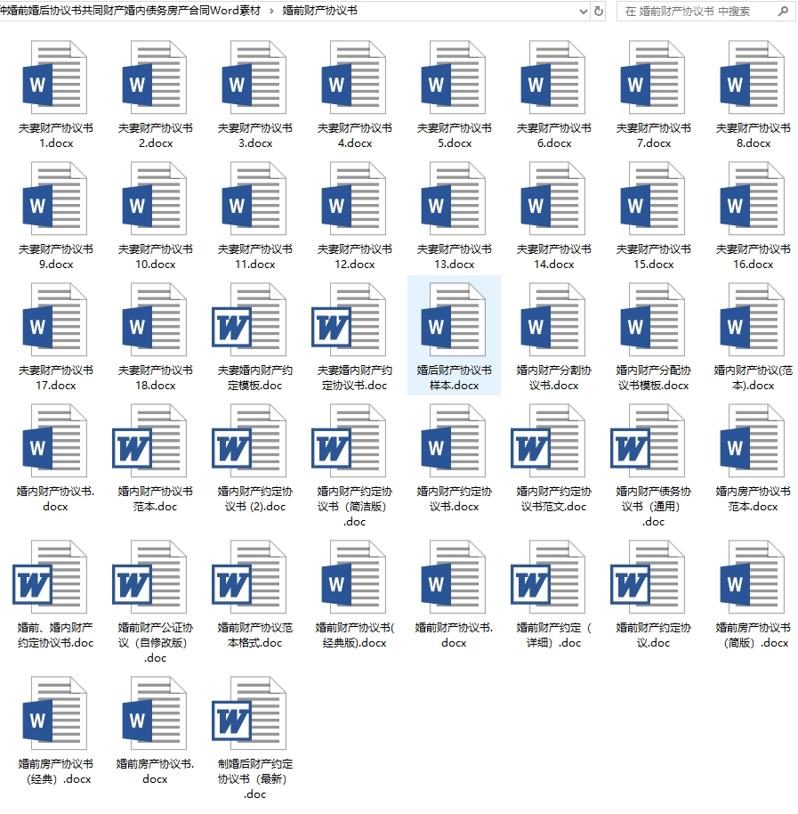 各种婚前婚后协议书共同财产婚内债务房产合同Word素材