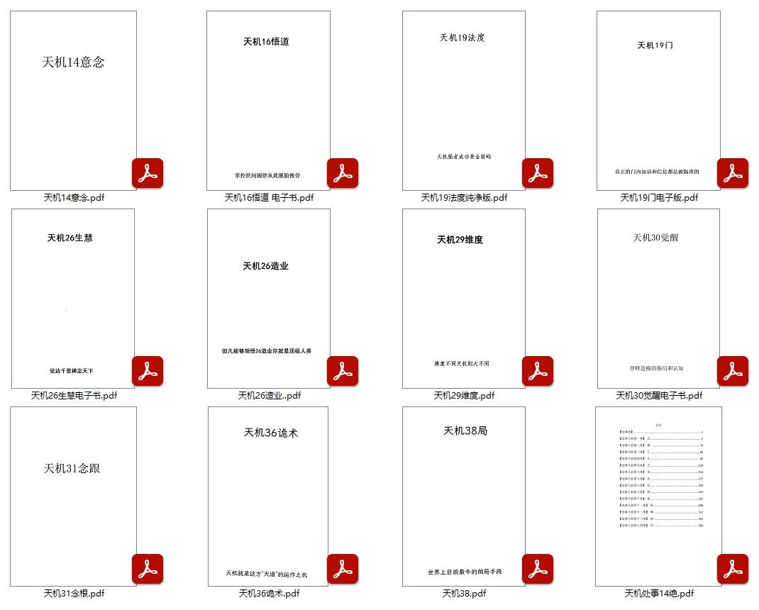 纯净版天机系列12册意念悟道生慧造业诡术PDF合集